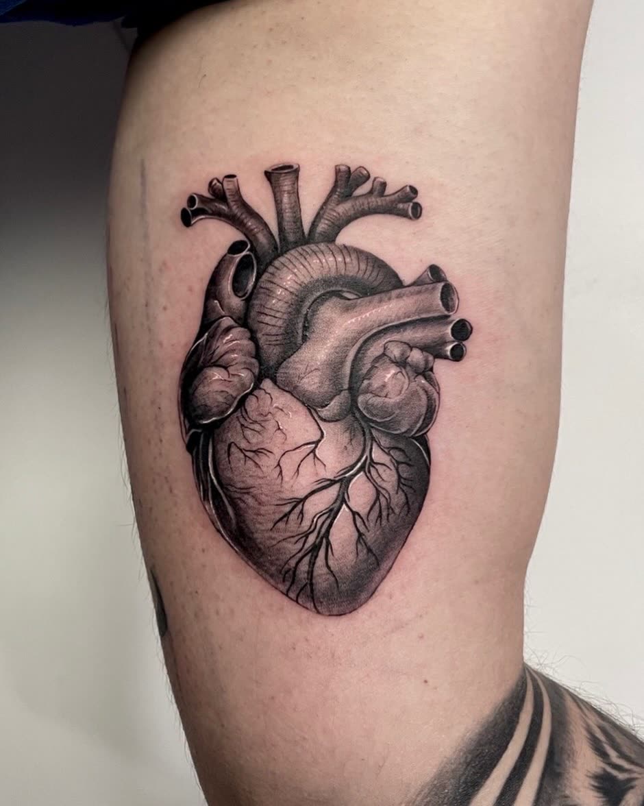 Brazo en negro y gris: corazón anatómico con las venas muy definidas