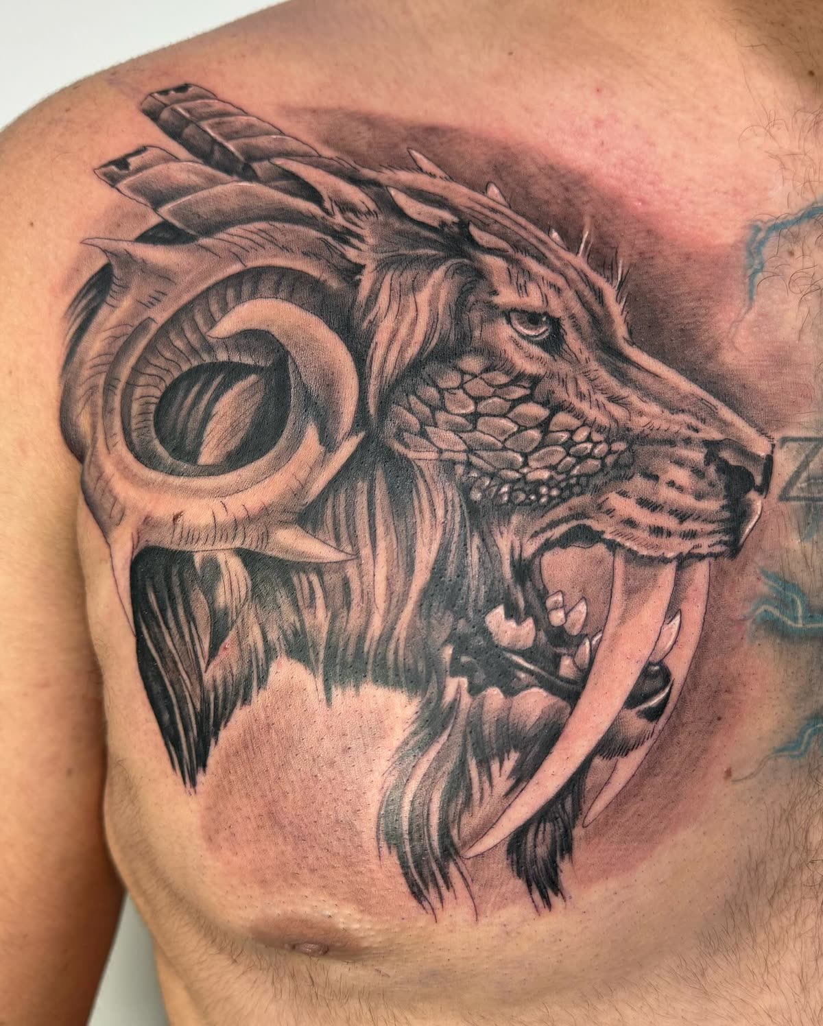 Pectoral en negro y gris: macho cabrío rugiendo con cuernos y colmillos